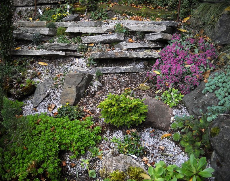 Support with Rock Placement