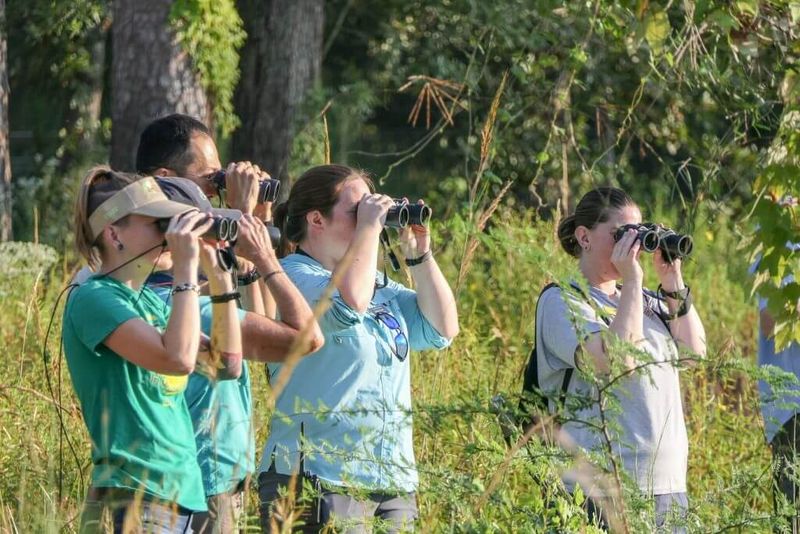 Engage with Citizen Science