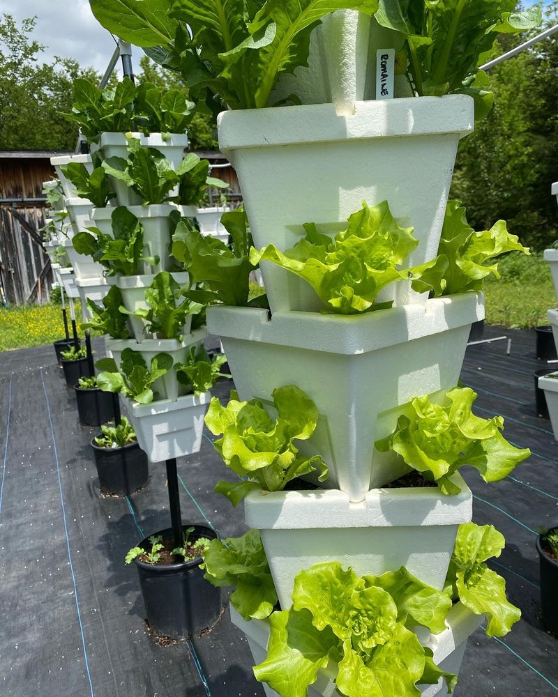 Vertical Veggie Towers