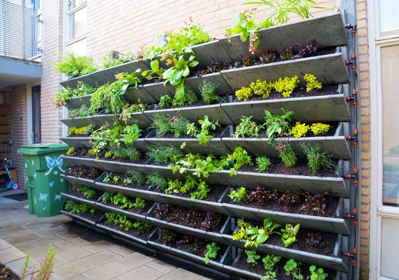 Vertical Gardening