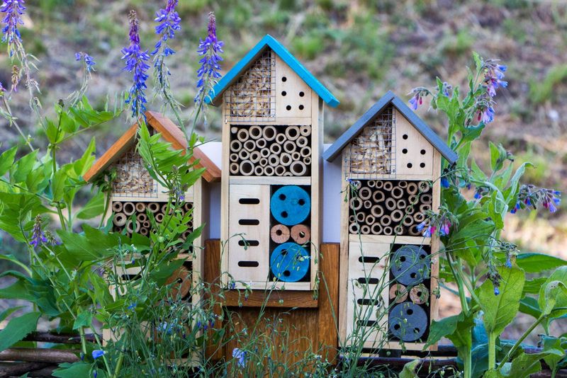Insect Hotels: Beneficial Bug B&B