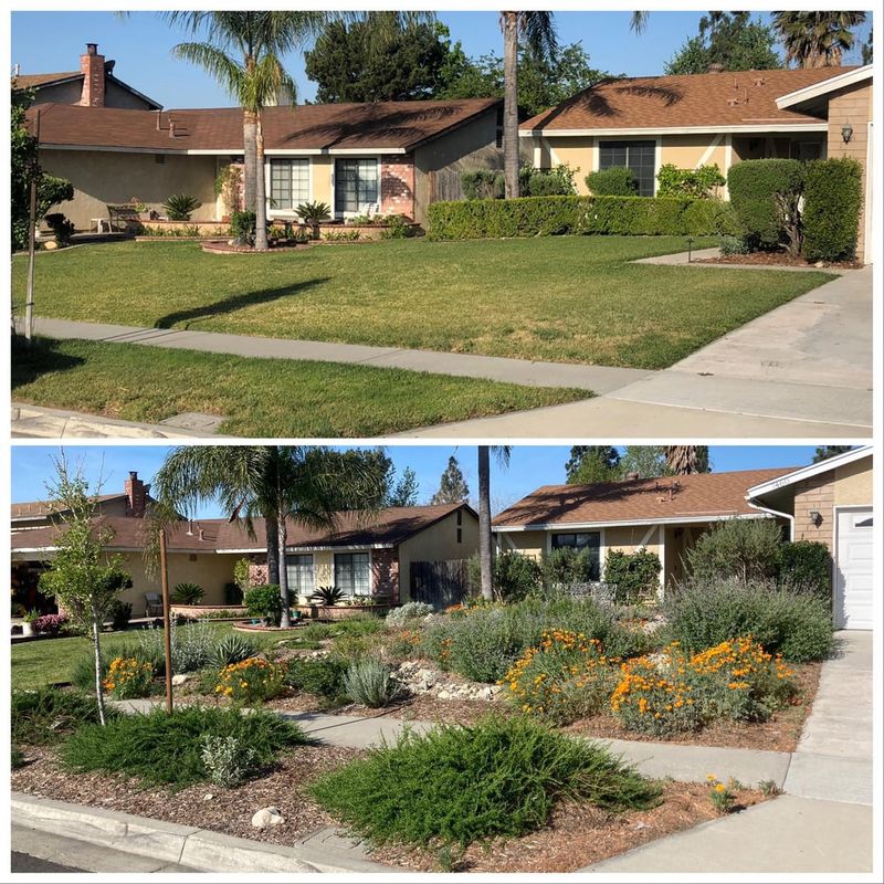 Non-Native Monoculture Lawns