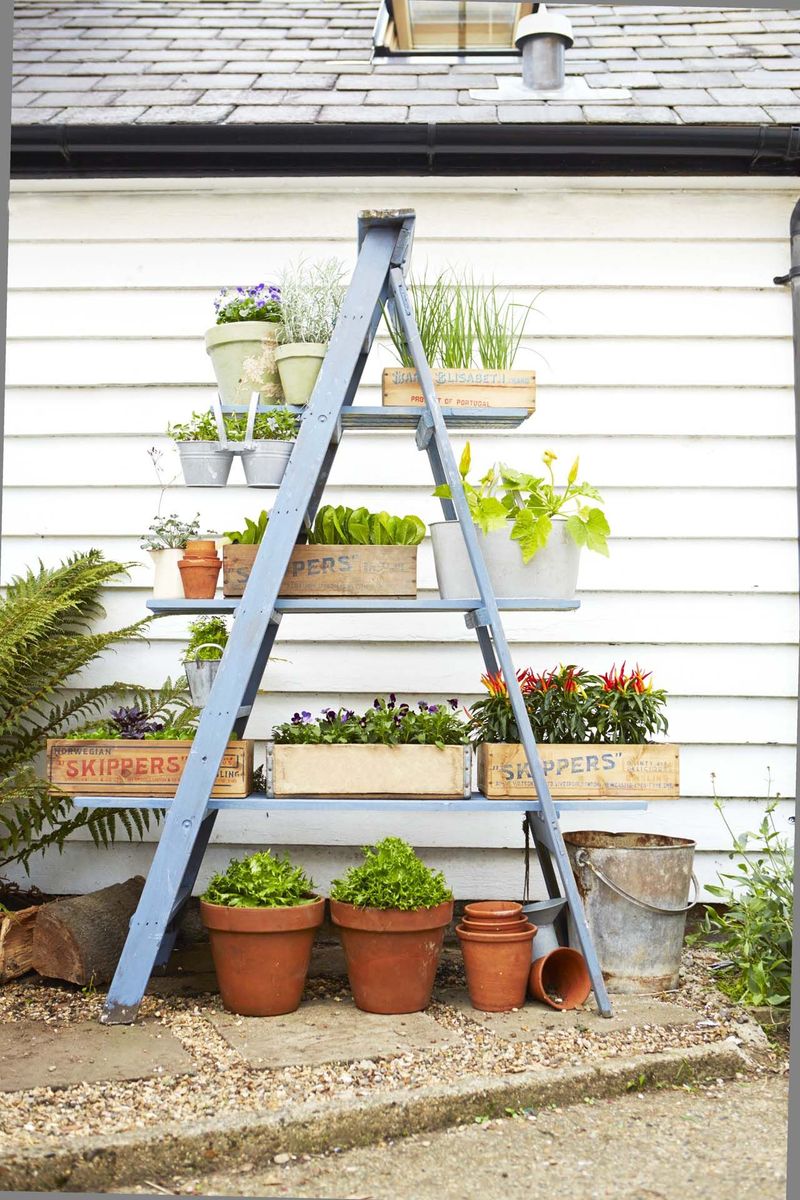 Ladder Shelf Planter Display