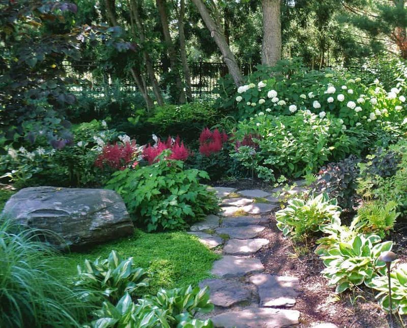 Outdoor Gardens
