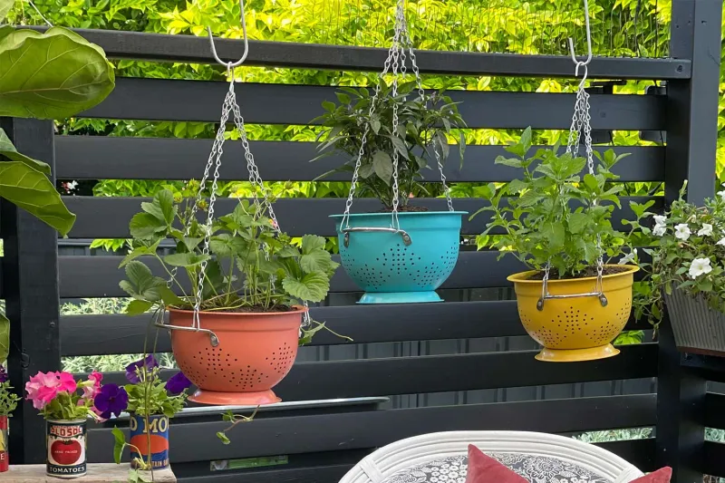 Colander Planters