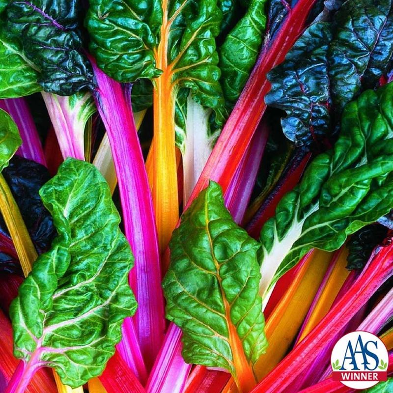 Swiss Chard