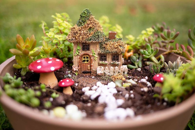 Fairy Garden