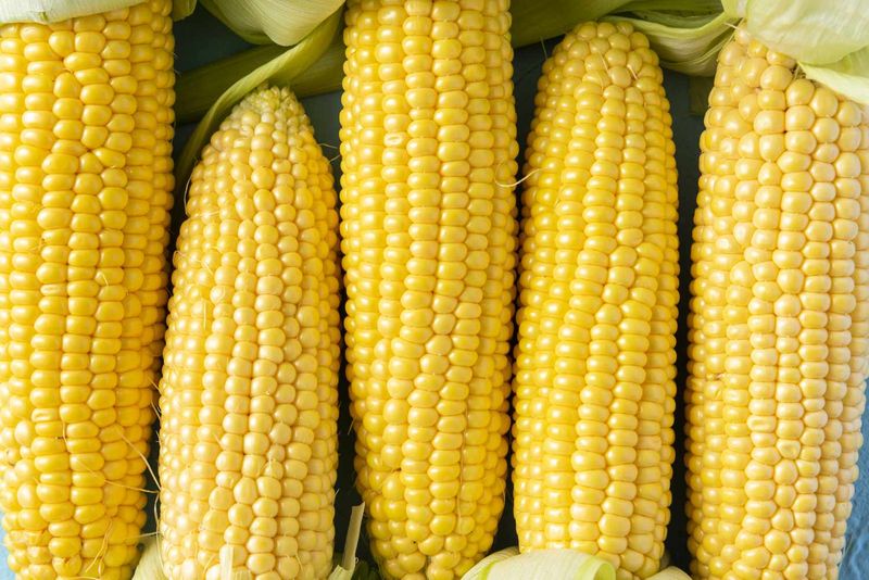 Corn (fresh)