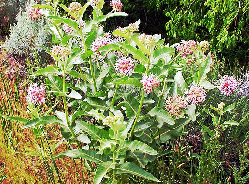 Requires Management to Stay Contained