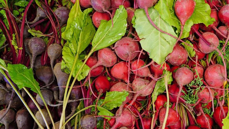 Beets