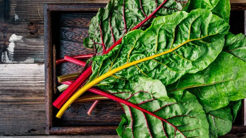 Swiss Chard