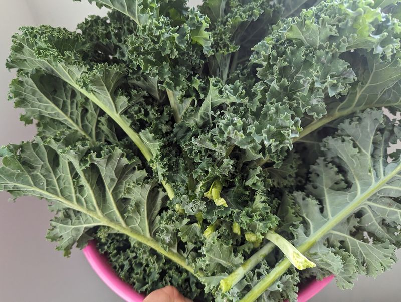 Kale