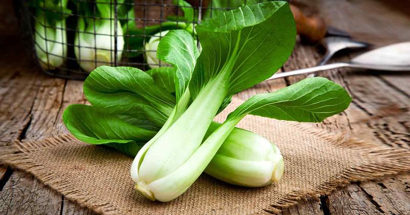 Bok Choy
