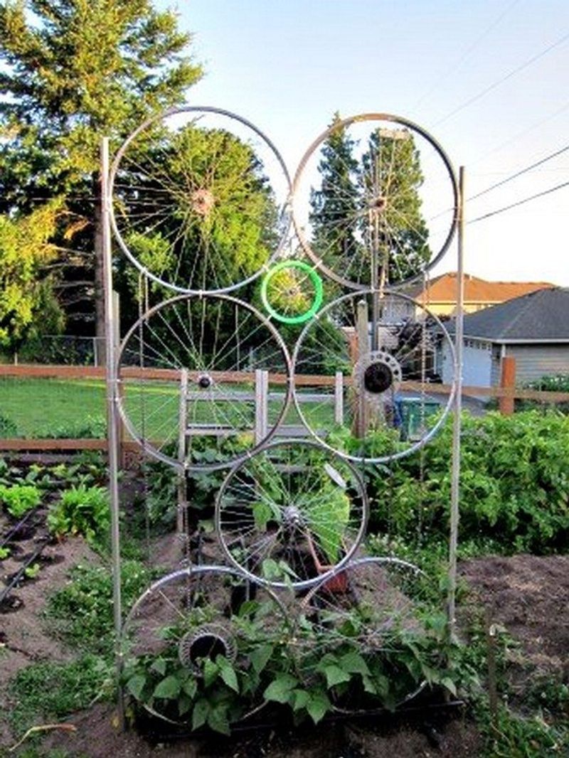 Bike Wheel Trellis