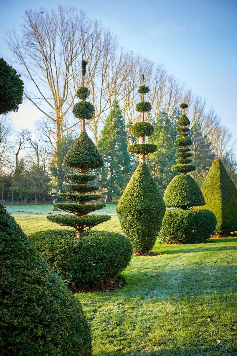 Sculpted Topiary Art