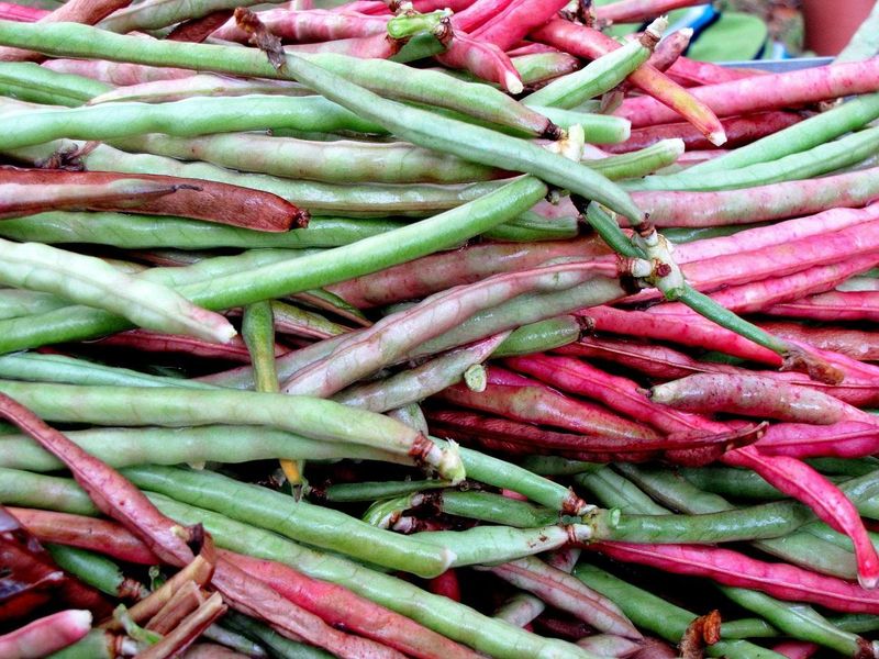 Southern Peas (Cowpeas, Black-Eyed Peas)