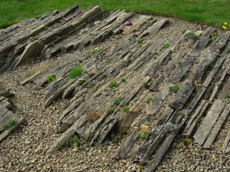 Use Gritty, Free-Draining Soil