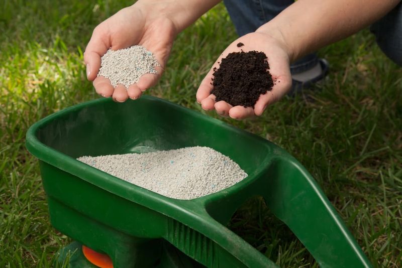 Using Organic Fertilizers