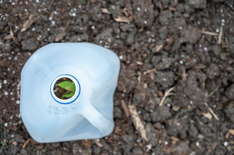 DIY Milk Jug Cloches