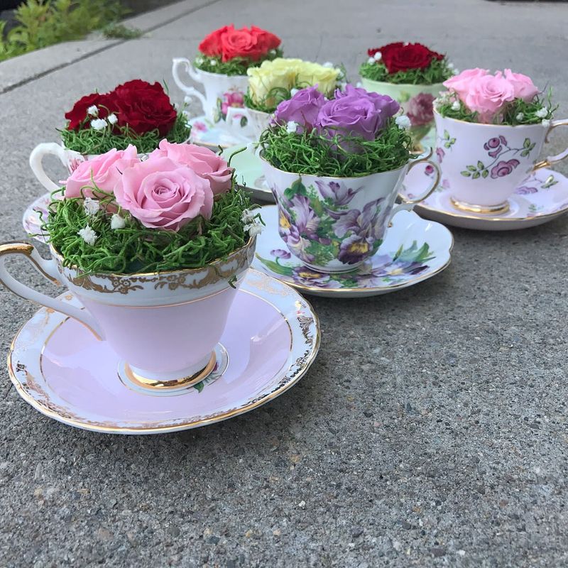 Vintage Teacup Blooms
