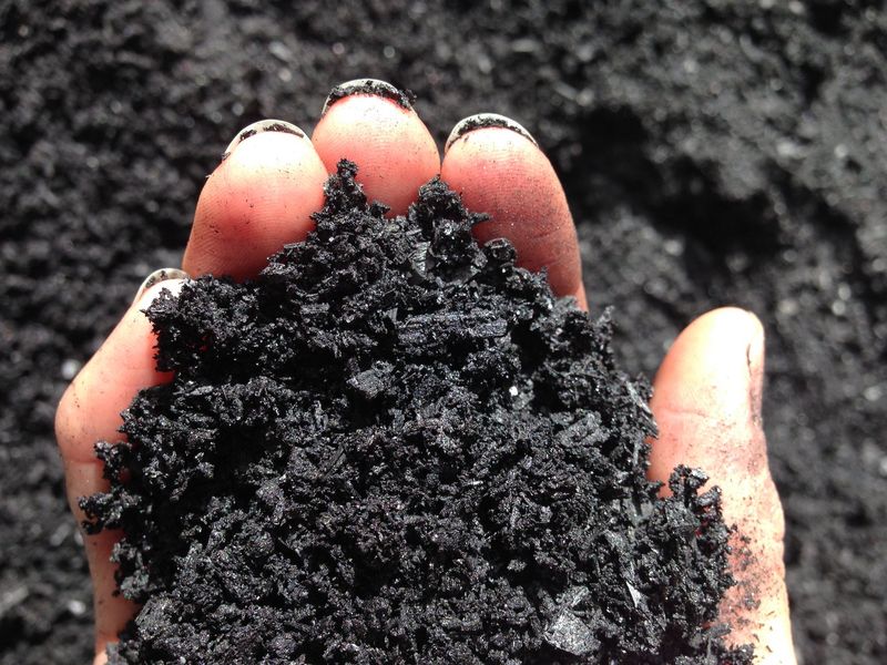 Biochar Enrichment