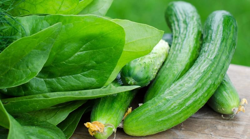 Companion 12: Spinach