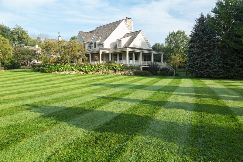 Practicing Lawn Striping