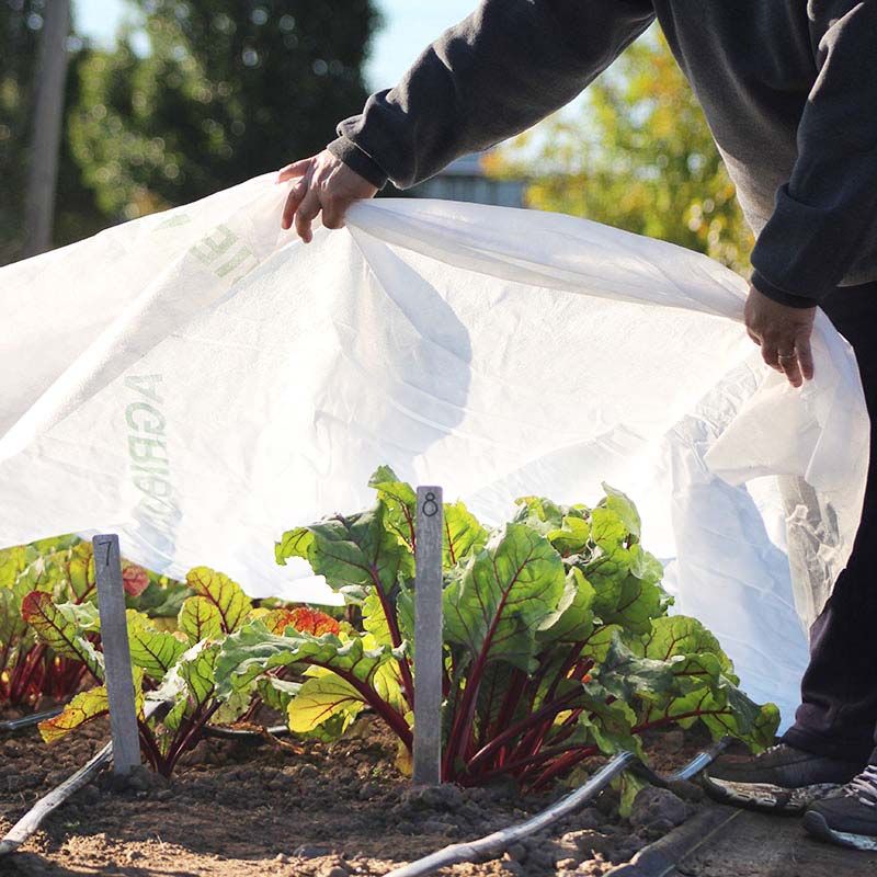 Provide Wind Protection