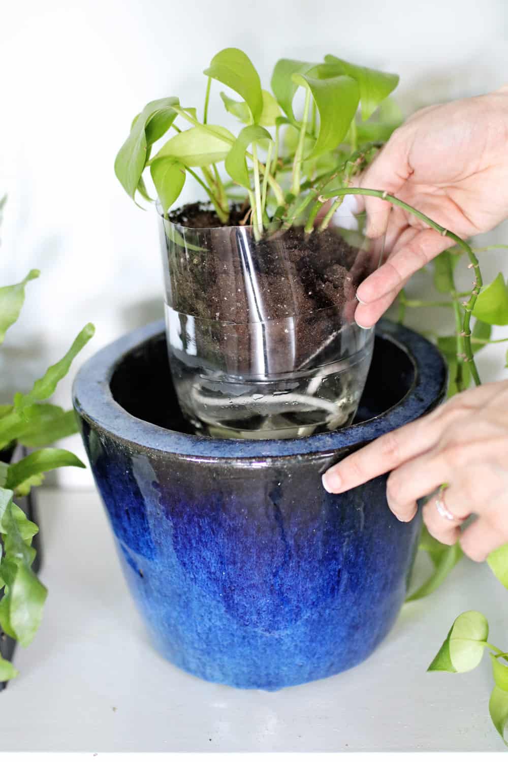 DIY Self-Watering Planters