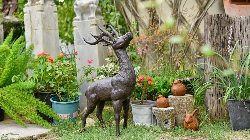 Rustic Woodland Deer