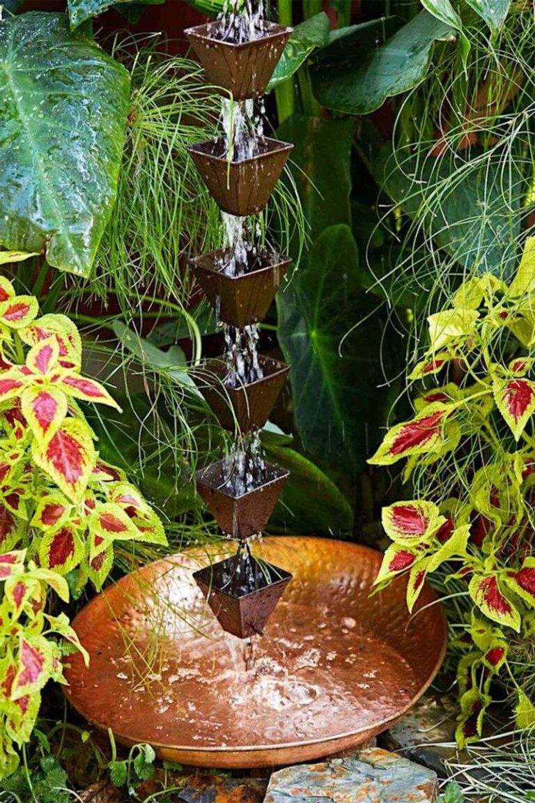 27 Beautiful Water Features That Attract Birds to Your Garden