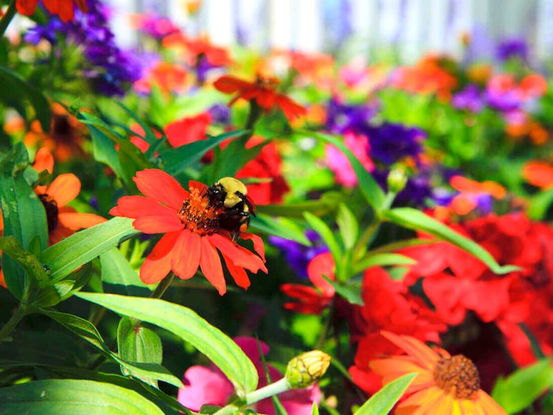 Incorporate Colorful Blooms