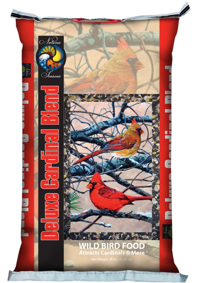 Offer Seasonal Foods