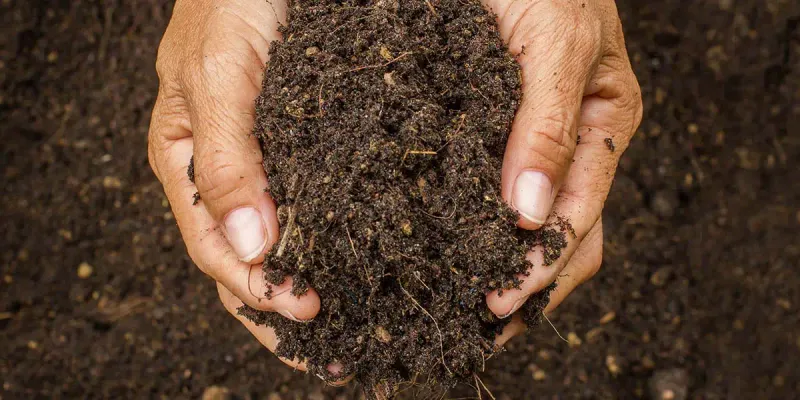 Soil Enrichment with Compost