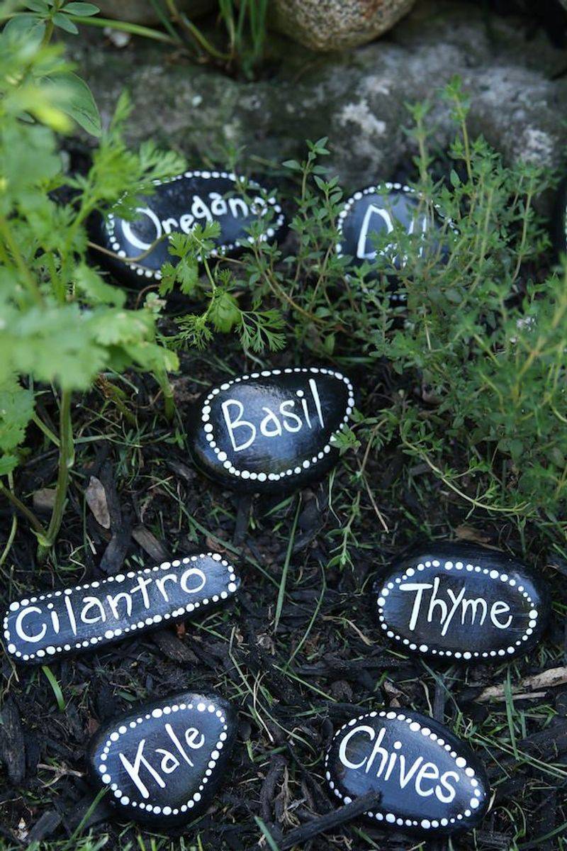 Painted Rock Markers