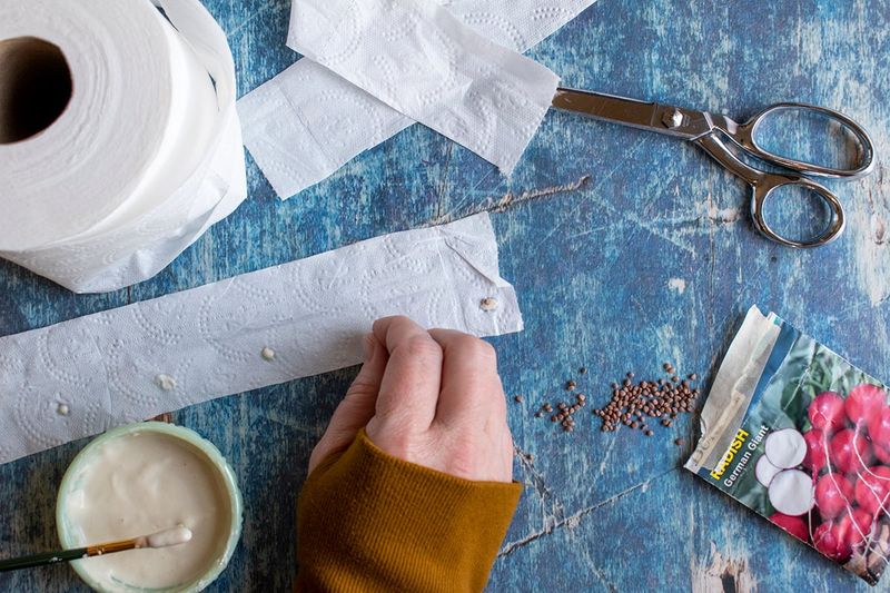 Seed Tape from Toilet Paper