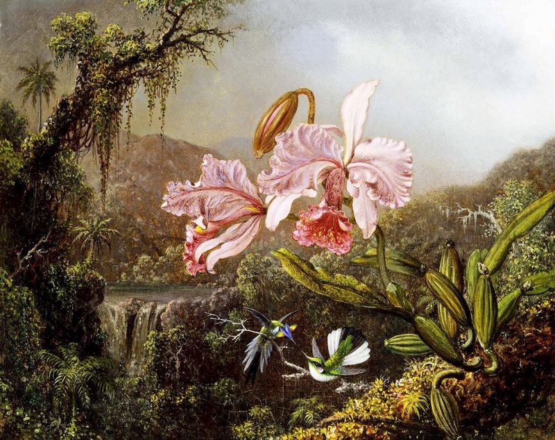 Orchids by Martin Johnson Heade