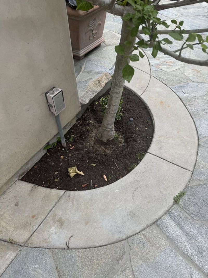 Near Concrete Paths or Walls