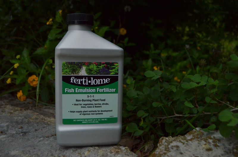 Fish Emulsion Fertilizer