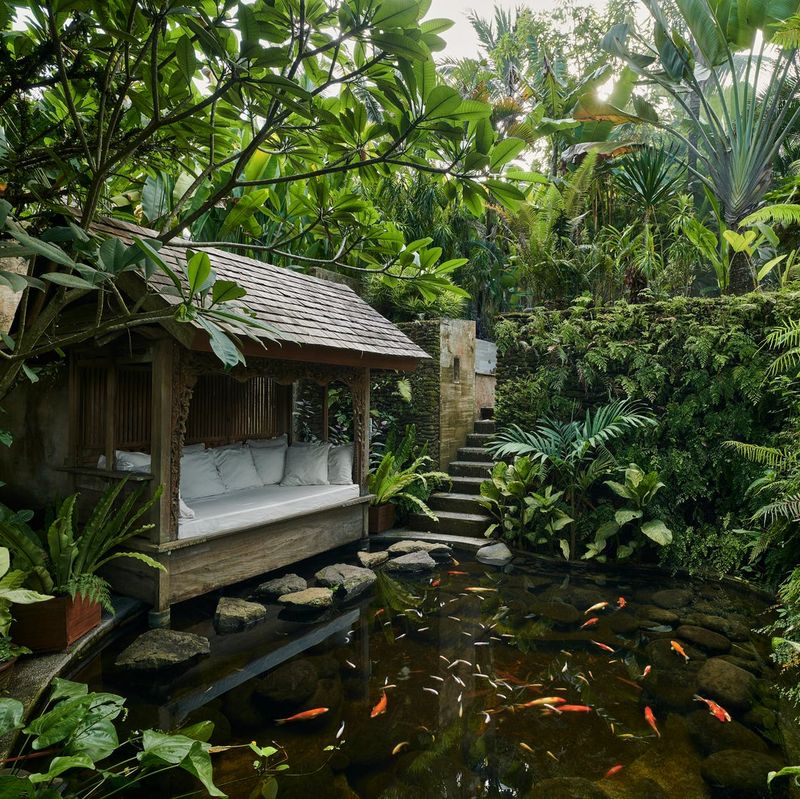 Garden Pond with Fish