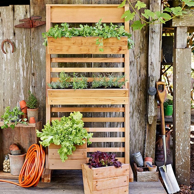 Vertical Gardens: Space Savers