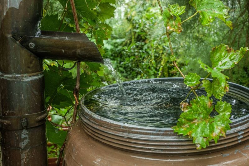 Efficient: Rain-Fed Water Features