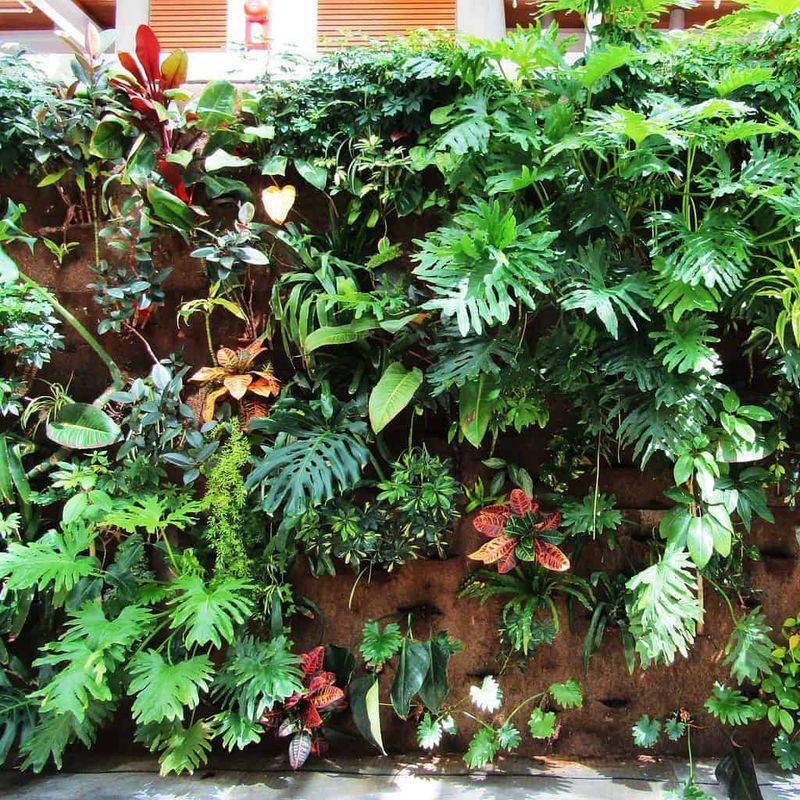 Biodiversity Boosters