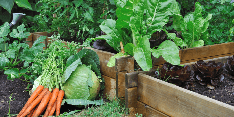 Rotate Crops Annually