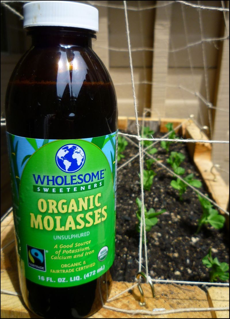 Blackstrap Molasses