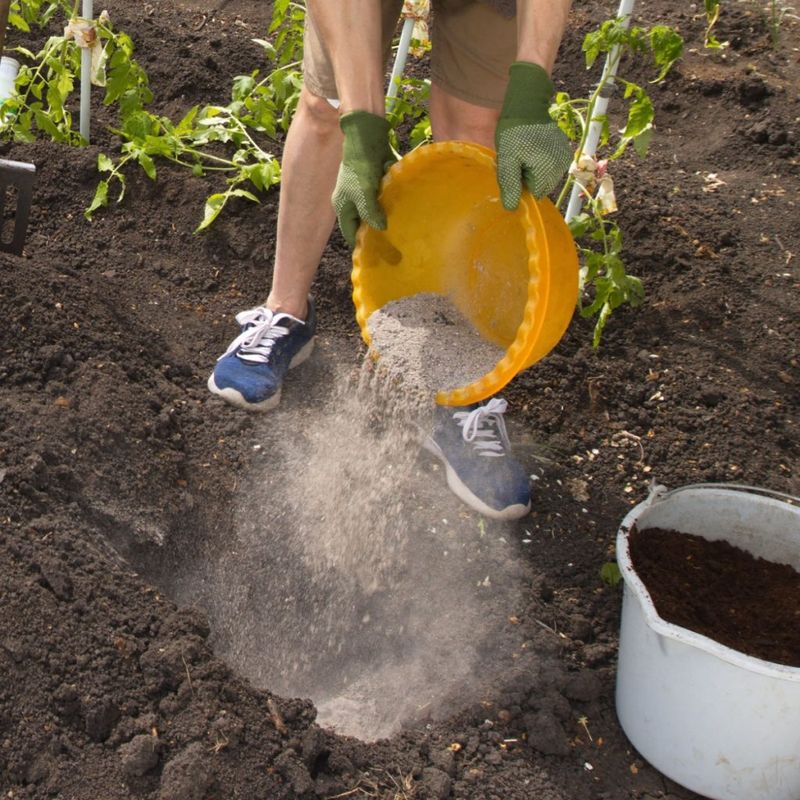 Wood Ash (in Small Amounts)