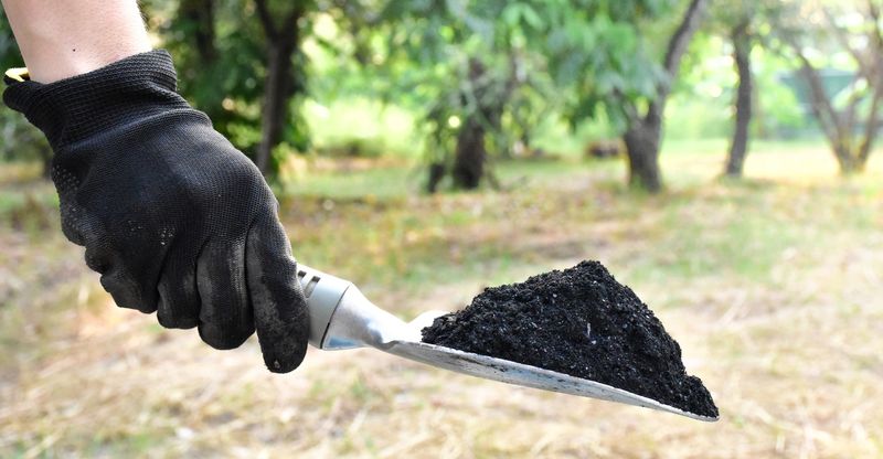Biochar