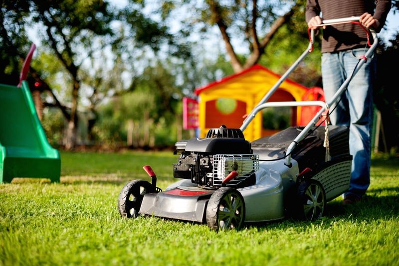 Gas-Powered Lawn Equipment