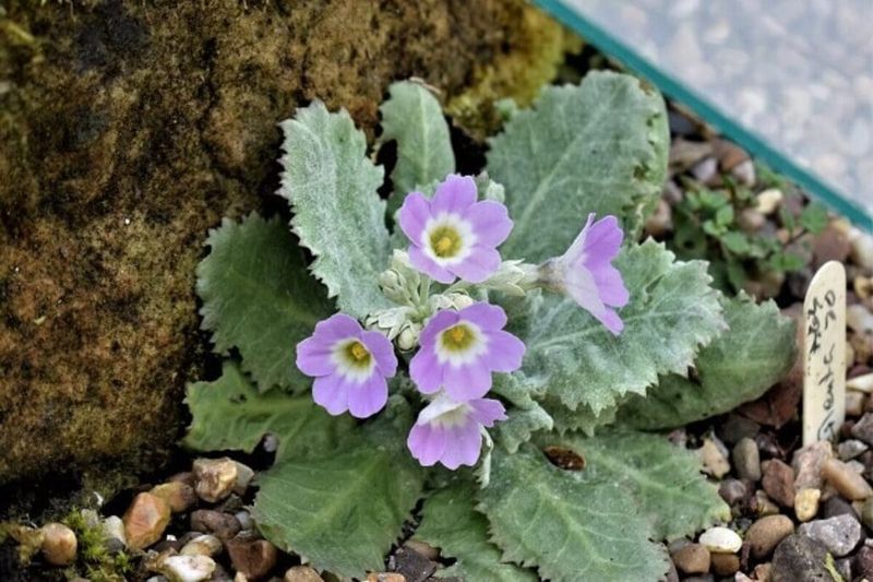 Protect from Winter Wet