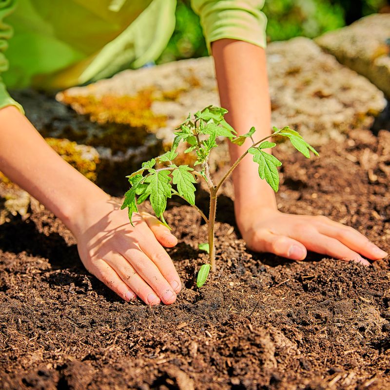 Plant at Optimal Times